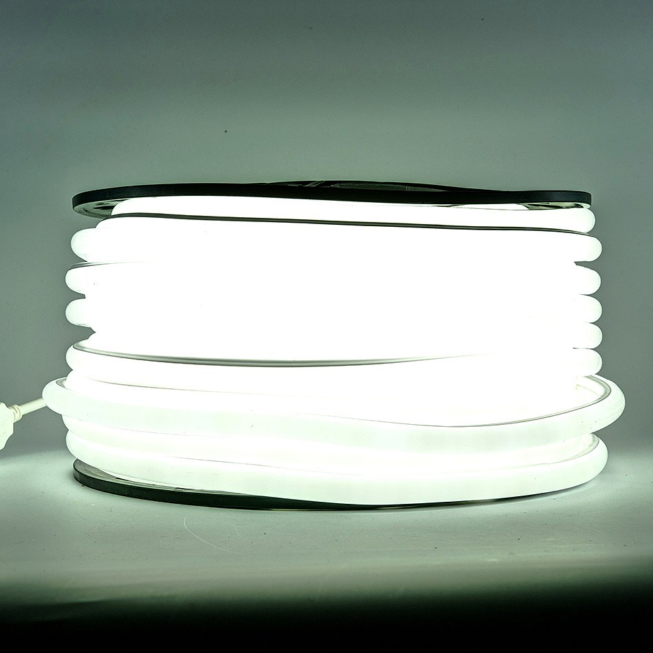 D-TYP jednostranný LED Neon, ľadovo biela, IP67, 1 m