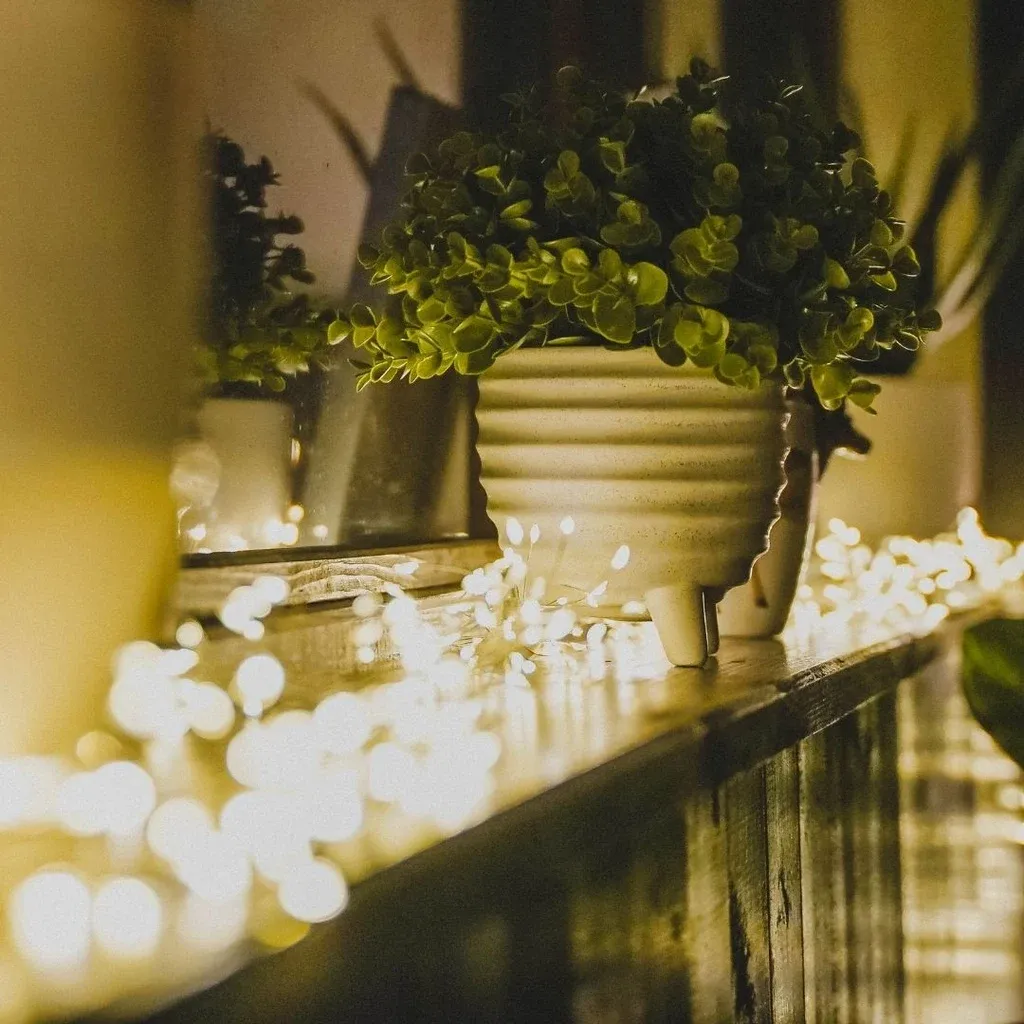 zahrada_6 (kopie)_l