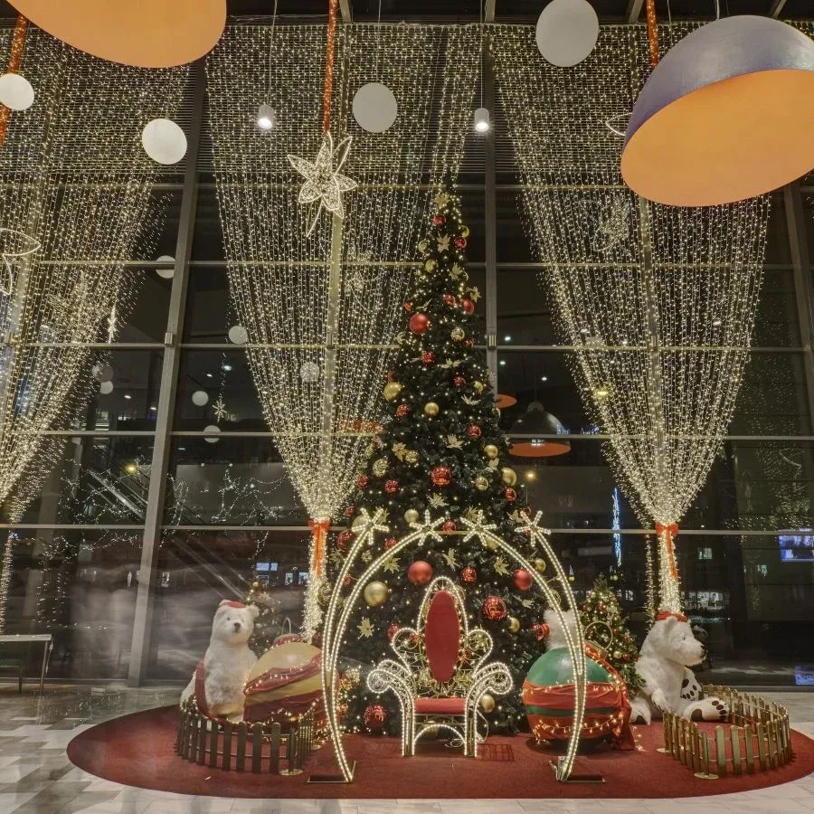 CLNX0112W-2.jpeg