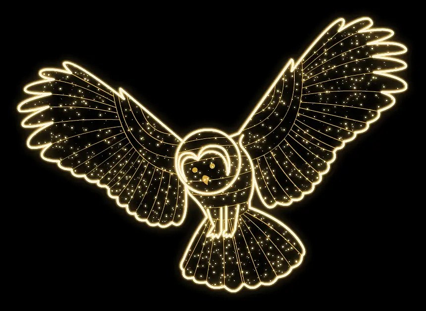 2D LED světelná sova, 225 x 165 x 5 cm, teple bílá, 230V, 120,5 W, 19,5 kg,