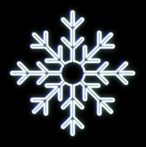 11966_EFD08-l