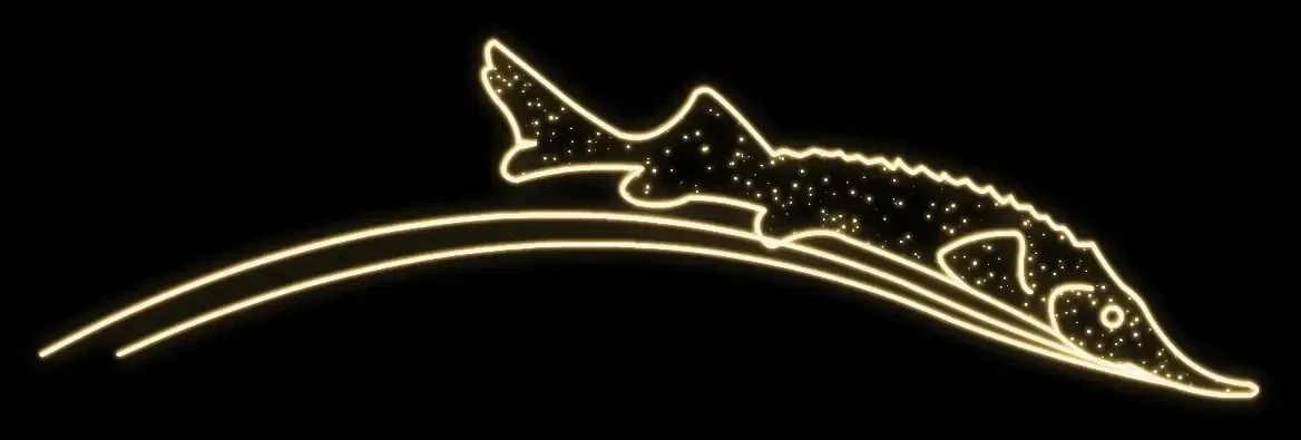 Eco Fix 2D LED svetlo na ryby, závesné, 250 × 60 × 3 cm, teplá biela, 3D tlač, DZX11103WS2