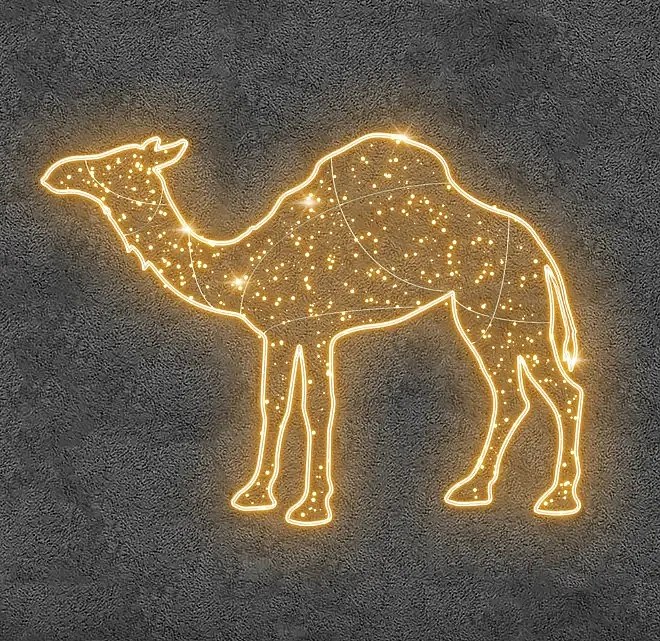 Eco Fix 2D LED svetlo Camel, 240 × 175 cm, teplá biela, stojace, 3D tlač, hliník