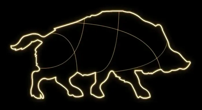 Easy Fix 2D LED svetelný kanec, 240 × 120 × 60 cm, teplá biela, stojaci, 3D tlač, hliník