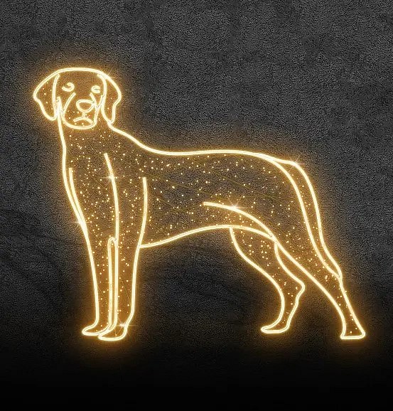 Eco Fix 2D LED svetelný pes, Pointer, závesný, 120 × 100 × 3 cm, teplá biela, závesný, 3D tlač, zlatá